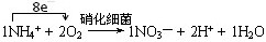 某反应池中,发生“生物硝化过程”,利用O2将NH4+氧化成NO3-,如果不考虑过程中硝化细菌的增殖,其净反应如下式所示:1、完成上述反应的离子方程式并配平,将系 某反应池中,发生“生物硝化过程”,利用O2将NH4+氧化成NO3-,如果不考虑过程中硝化细菌的增殖,其净反应如下式所示:1、完成上述反应的离子方程式并配平,将系