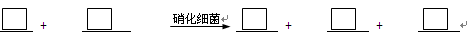某反应池中,发生“生物硝化过程”,利用O2将NH4+氧化成NO3-,如果不考虑过程中硝化细菌的增殖,其净反应如下式所示:1、完成上述反应的离子方程式并配平,将系 某反应池中,发生“生物硝化过程”,利用O2将NH4+氧化成NO3-,如果不考虑过程中硝化细菌的增殖,其净反应如下式所示:1、完成上述反应的离子方程式并配平,将系