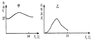 下图甲、乙分别表示我国医学工作者自主研制甲型H1N1流感疫苗过程中,某志愿者接种疫苗后两周内体温和体内抗体浓度的变化。请回答问题:(1)正常情况 下图甲、乙分别表示我国医学工作者自主研制甲型H1N1流感疫苗过程中,某志愿者接种疫苗后两周内体温和体内抗体浓度的变化。请回答问题:(1)正常情况