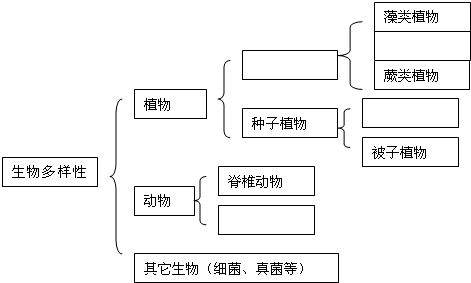 如图是生物多样性概念图,请填出相应内容: 魔方格