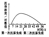 一般情况下,用抗原免疫机体,血清中抗体浓度会发生相应变化。如果第二次免疫与第一次免疫所用的抗原相同且剂量相等,下列四图中能正确表示血清中抗体浓度变化的是 一般情况下,用抗原免疫机体,血清中抗体浓度会发生相应变化。如果第二次免疫与第一次免疫所用的抗原相同且剂量相等,下列四图中能正确表示血清中抗体浓度变化的是