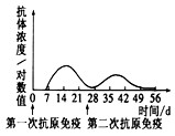 一般情况下,用抗原免疫机体,血清中抗体浓度会发生相应变化。如果第二次免疫与第一次免疫所用的抗原相同且剂量相等,下列四图中能正确表示血清中抗体浓度变化的是 一般情况下,用抗原免疫机体,血清中抗体浓度会发生相应变化。如果第二次免疫与第一次免疫所用的抗原相同且剂量相等,下列四图中能正确表示血清中抗体浓度变化的是