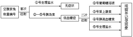 为探究血糖调节的影响因素,设计如下实验流程。实验中5只家兔的注射剂量和生理指标均按单位体重计算。据图回答:(1)实验中起对照作用 为探究血糖调节的影响因素,设计如下实验流程。实验中5只家兔的注射剂量和生理指标均按单位体重计算。据图回答:(1)实验中起对照作用