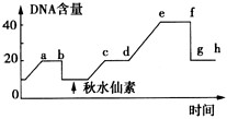 玉米花药经离体培养形成的单倍体幼苗,经秋水仙素处理后形成二倍体植株,如图是该过程中某时段细胞核DNA含量变化示意图。下列叙述错误的是 玉米花药经离体培养形成的单倍体幼苗,经秋水仙素处理后形成二倍体植株,如图是该过程中某时段细胞核DNA含量变化示意图。下列叙述错误的是