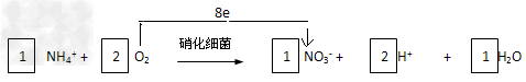 某反应池中,发生“生物硝化过程”,利用O2将NH4+氧化成NO3-,如果不考虑过程中硝化细菌的增殖,其净反应如下式所示: (1) 某反应池中,发生“生物硝化过程”,利用O2将NH4+氧化成NO3-,如果不考虑过程中硝化细菌的增殖,其净反应如下式所示: (1)