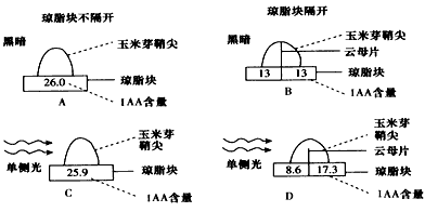 生长素(IAA)是植物体内一种重要激素。请回答下列问题:(1)为了研究单侧光对生长素分布的影响,某兴趣小组进行了如下图所示实验。该实验中,A与B之间 生长素(IAA)是植物体内一种重要激素。请回答下列问题:(1)为了研究单侧光对生长素分布的影响,某兴趣小组进行了如下图所示实验。该实验中,A与B之间