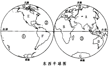 读东西半球图,回答下列问题:1、写出图中字母所代表的大洲名称: A_________、B_________、C_________、D__ 读东西半球图,回答下列问题:1、写出图中字母所代表的大洲名称: A_________、B_________、C_________、D__
