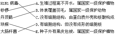 请将下列生物与右侧的内容进行合理搭配H1N1病毒 A.生殖过程离不开水,属国家一级保护植物桫椤 B.体表覆盖 请将下列生物与右侧的内容进行合理搭配H1N1病毒 A.生殖过程离不开水,属国家一级保护植物桫椤 B.体表覆盖