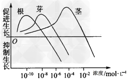 运用所学生长素的有关知识,回答下列问题:(1)研究表明,在胚芽鞘、芽、幼叶和幼根中,生长素只能从形态学__________端运输到形态学_________ 运用所学生长素的有关知识,回答下列问题:(1)研究表明,在胚芽鞘、芽、幼叶和幼根中,生长素只能从形态学__________端运输到形态学_________