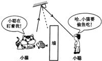 如图所示,小聪通过一平面镜看到小猫要偷吃小鱼.图中画出了入射光线和反射光线,但未标出光的传播方向.请你在图中用箭头标出小聪看到小猫偷鱼吃时的光的传播方向,并根据 魔方格