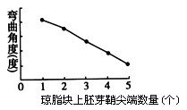 在5个相同的琼脂块上分别放置1-5个水稻胚芽鞘尖端,几小时后将这些琼脂块分别紧贴于5个切去尖端的胚芽鞘切面一侧,经暗培养后,测定胚芽鞘弯曲角度(如图 在5个相同的琼脂块上分别放置1-5个水稻胚芽鞘尖端,几小时后将这些琼脂块分别紧贴于5个切去尖端的胚芽鞘切面一侧,经暗培养后,测定胚芽鞘弯曲角度(如图