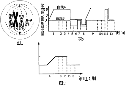 图1是某高等生物细胞增殖某时期模式图,图4是该生物细胞核内染色体及DNA相对量变化的曲线图。据图回答下列问题:(注:横坐标各个区域代表细胞分裂的各个 图1是某高等生物细胞增殖某时期模式图,图4是该生物细胞核内染色体及DNA相对量变化的曲线图。据图回答下列问题:(注:横坐标各个区域代表细胞分裂的各个