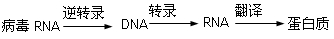 艾滋病是一种免疫缺陷病,是由人类免疫缺陷病毒(HIV)引起的,死亡率极高。下图甲表示艾滋病病毒(HIV)侵染人体淋巴细胞及其增殖过程示意图。下图乙表 艾滋病是一种免疫缺陷病,是由人类免疫缺陷病毒(HIV)引起的,死亡率极高。下图甲表示艾滋病病毒(HIV)侵染人体淋巴细胞及其增殖过程示意图。下图乙表