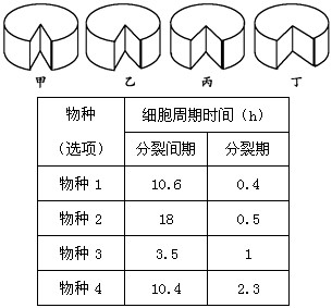 若从细胞周期的时间考虑,下面圆饼图(如下图)表示四种植物(见下表)细胞的细胞周期(缺口部分代表分裂期),如果从四种细胞中选择一种用来观察细胞的有丝分裂, 若从细胞周期的时间考虑,下面圆饼图(如下图)表示四种植物(见下表)细胞的细胞周期(缺口部分代表分裂期),如果从四种细胞中选择一种用来观察细胞的有丝分裂,