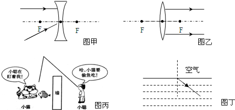按要求作出图形根据图中甲和乙中的入射光线或折射光线,分别作出相应的折射光线或入射光线.如图丙所示,小聪通过一平面镜看到小猫要偷吃小鱼.图中画出了入射 魔方格