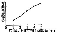 在5个相同的琼脂块上分别放置1-5个水稻胚芽鞘尖端,几小时后将这些琼脂块分别紧贴于5个切去尖端的胚芽鞘切面一侧,经暗培养后,测定胚芽鞘弯曲角度(如图 在5个相同的琼脂块上分别放置1-5个水稻胚芽鞘尖端,几小时后将这些琼脂块分别紧贴于5个切去尖端的胚芽鞘切面一侧,经暗培养后,测定胚芽鞘弯曲角度(如图