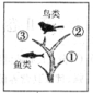 分析资料,回答问题:资料一:泰山地处暖温带气候区,雄踞于华北大平原,相对高差1500多米,蕴藏着丰富的动植物资源,成为动植物资源的“安全岛”。现有野生种 分析资料,回答问题:资料一:泰山地处暖温带气候区,雄踞于华北大平原,相对高差1500多米,蕴藏着丰富的动植物资源,成为动植物资源的“安全岛”。现有野生种