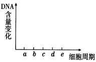 下图中A与B表示某生物细胞分裂过程中染色体的动态变化过程。(1)一个完整的细胞周期从_____开始到______结束。(2)图A 下图中A与B表示某生物细胞分裂过程中染色体的动态变化过程。(1)一个完整的细胞周期从_____开始到______结束。(2)图A