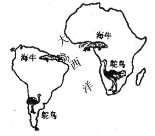 读下图,完成下列各三个小题小题1:关于上图的描述不正确的是A.两大洲可能曾经是一个整体B.南美洲东海岸陆地凸出部分与非洲西海岸陆地凹进部分轮廓比较吻合C.海 读下图,完成下列各三个小题小题1:关于上图的描述不正确的是A.两大洲可能曾经是一个整体B.南美洲东海岸陆地凸出部分与非洲西海岸陆地凹进部分轮廓比较吻合C.海