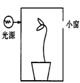 在方形暗箱内放1盆幼苗,暗箱一侧开一小窗口,固定光源的光可从窗口射入,把装置放在旋转器上水平旋转,假设暗箱可以转动而盆栽幼苗固定不动,保持每15分钟 在方形暗箱内放1盆幼苗,暗箱一侧开一小窗口,固定光源的光可从窗口射入,把装置放在旋转器上水平旋转,假设暗箱可以转动而盆栽幼苗固定不动,保持每15分钟