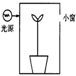在方形暗箱内放1盆幼苗,暗箱一侧开一小窗口,固定光源的光可从窗口射入,把装置放在旋转器上水平旋转,假设暗箱可以转动而盆栽幼苗固定不动,保持每15分钟 在方形暗箱内放1盆幼苗,暗箱一侧开一小窗口,固定光源的光可从窗口射入,把装置放在旋转器上水平旋转,假设暗箱可以转动而盆栽幼苗固定不动,保持每15分钟