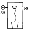 在方形暗箱内放1盆幼苗,暗箱一侧开一小窗口,固定光源的光可从窗口射入,把装置放在旋转器上水平旋转,假设暗箱可以转动而盆栽幼苗固定不动,保持每15分钟 在方形暗箱内放1盆幼苗,暗箱一侧开一小窗口,固定光源的光可从窗口射入,把装置放在旋转器上水平旋转,假设暗箱可以转动而盆栽幼苗固定不动,保持每15分钟