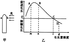 如下图所示,甲图表示胚芽鞘受到单侧光的照射,乙图表示不同浓度生长素溶液对胚芽鞘生长的影响,如果甲图中b处的生长素浓度为m,设a处的生长素浓度为x,则 如下图所示,甲图表示胚芽鞘受到单侧光的照射,乙图表示不同浓度生长素溶液对胚芽鞘生长的影响,如果甲图中b处的生长素浓度为m,设a处的生长素浓度为x,则