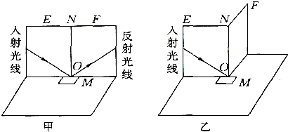 在做“探究光的反射规律”的实验中,小明设计了如图所示的实验.按图甲那样,把一面镜子M平放在平板上,把一个画有角度的白色硬纸板竖立在镜面上,硬纸板是由E和F 魔方格