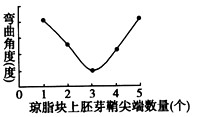 在5个相同的琼脂块上分别放置1-5个水稻胚芽鞘尖端,几小时后将这些琼脂块分别紧贴于5个切去尖端的胚芽鞘切面一侧,经暗培养后,测定胚芽鞘弯曲角度(如图 在5个相同的琼脂块上分别放置1-5个水稻胚芽鞘尖端,几小时后将这些琼脂块分别紧贴于5个切去尖端的胚芽鞘切面一侧,经暗培养后,测定胚芽鞘弯曲角度(如图