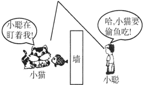 如图所示,小聪通过一平面镜看到小猫要偷吃小鱼.图中画出了入射光线和反射光线,但未标出光的传播方向.请你在图中用箭头标出小聪看到小猫偷鱼吃时的光的传播方向,并根据 魔方格