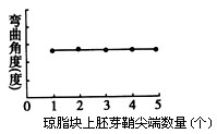 在5个相同的琼脂块上分别放置1-5个水稻胚芽鞘尖端,几小时后将这些琼脂块分别紧贴于5个切去尖端的胚芽鞘切面一侧,经暗培养后,测定胚芽鞘弯曲角度(如图 在5个相同的琼脂块上分别放置1-5个水稻胚芽鞘尖端,几小时后将这些琼脂块分别紧贴于5个切去尖端的胚芽鞘切面一侧,经暗培养后,测定胚芽鞘弯曲角度(如图