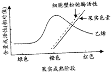 番茄果实成熟过程中,乙烯释放量、果实色素积累及细胞壁松弛酶活性变化规律如下图。从该图可得出乙烯能促进①细胞壁松弛酶活性升高②果实色素积累③番茄果实发 番茄果实成熟过程中,乙烯释放量、果实色素积累及细胞壁松弛酶活性变化规律如下图。从该图可得出乙烯能促进①细胞壁松弛酶活性升高②果实色素积累③番茄果实发