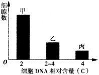 细胞增殖过程中DNA含量会发生变化。通过测定一定数量细胞的DNA含量,可分析其细胞周期。根据细胞DNA含量的不同,将某种连续增殖的细胞分为三组,每组的细胞 细胞增殖过程中DNA含量会发生变化。通过测定一定数量细胞的DNA含量,可分析其细胞周期。根据细胞DNA含量的不同,将某种连续增殖的细胞分为三组,每组的细胞