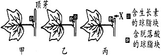 某棉农获知脱落酸可以促进叶片脱落的原理后,采收前在棉田喷施了一定量的脱落酸,试图除去棉花叶片便于机械采收,但效果不明显,为探究其原因,生物兴趣小组设 某棉农获知脱落酸可以促进叶片脱落的原理后,采收前在棉田喷施了一定量的脱落酸,试图除去棉花叶片便于机械采收,但效果不明显,为探究其原因,生物兴趣小组设