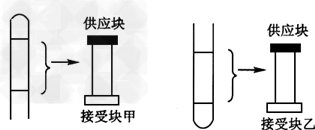 科学家做过如下试验,把含有生长素的琼脂块放在一段燕麦胚芽鞘的形态学上端,把另一块不含生长素的琼脂块作为接受块放在下端(如图);另一试验是把一段燕麦胚 科学家做过如下试验,把含有生长素的琼脂块放在一段燕麦胚芽鞘的形态学上端,把另一块不含生长素的琼脂块作为接受块放在下端(如图);另一试验是把一段燕麦胚