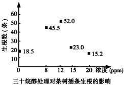 茶一般以茶树的顶芽和幼叶制成。请回答下列有关问题:(1)采茶主要集中在春、秋两季。随着采摘批次的增加,新梢的数量大大增加,从激素调节的角度看,原因是 茶一般以茶树的顶芽和幼叶制成。请回答下列有关问题:(1)采茶主要集中在春、秋两季。随着采摘批次的增加,新梢的数量大大增加,从激素调节的角度看,原因是