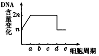 下图中A与B表示某生物细胞分裂过程中染色体的动态变化过程。(1)一个完整的细胞周期从_____开始到______结束。(2)图A 下图中A与B表示某生物细胞分裂过程中染色体的动态变化过程。(1)一个完整的细胞周期从_____开始到______结束。(2)图A