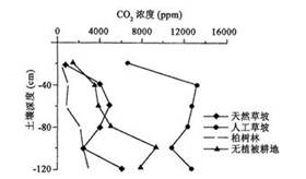 读云南路南石林地区不同植被下土层空气中CO2浓度示意图,回答问题8~9题。小题1:如果水分条件相同,下列植被分布区中土层最易被溶蚀的是A.无植被耕地B.柏树林C 读云南路南石林地区不同植被下土层空气中CO2浓度示意图,回答问题8~9题。小题1:如果水分条件相同,下列植被分布区中土层最易被溶蚀的是A.无植被耕地B.柏树林C