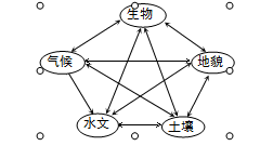 地理环境各要素相互关系图,回答题小题1:图中各要素的关系反映了自然地理环境的A.差异性B.整体性C.区域性D.单一性小题2:我国西北地区气候干旱,推断下列景 地理环境各要素相互关系图,回答题小题1:图中各要素的关系反映了自然地理环境的A.差异性B.整体性C.区域性D.单一性小题2:我国西北地区气候干旱,推断下列景