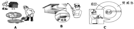 2008年5月12日四川汶川发生8.0级特大地震后,《人民日报》于5月18日介绍了地震灾后动物疫病防控知识,见下图。请依据图中信息回答问题:图A告 2008年5月12日四川汶川发生8.0级特大地震后,《人民日报》于5月18日介绍了地震灾后动物疫病防控知识,见下图。请依据图中信息回答问题:图A告