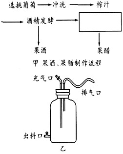 下面是果酒和果醋制作的实验流程和某同学设计的果酒和果醋的发酵装置。根据图示回答下列问题:(1)完成图甲中的实验流程,则矩形框内应 下面是果酒和果醋制作的实验流程和某同学设计的果酒和果醋的发酵装置。根据图示回答下列问题:(1)完成图甲中的实验流程,则矩形框内应