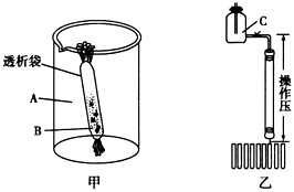 下图表示血红蛋白提取和分离的部分实验装置,请回答下列问题。(1)血红蛋白是人和其他脊椎动物红细胞的主要组成成分,其在红细胞中的作 下图表示血红蛋白提取和分离的部分实验装置,请回答下列问题。(1)血红蛋白是人和其他脊椎动物红细胞的主要组成成分,其在红细胞中的作