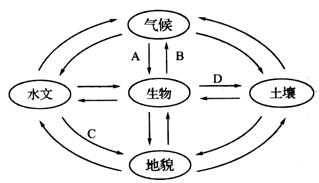 图是“地理要素相互关系示意图”,读图完成下列各题。此图反映地理环境具有_________特征。图中各字母,表示形成长江三峡的地质作用是___ 图是“地理要素相互关系示意图”,读图完成下列各题。此图反映地理环境具有_________特征。图中各字母,表示形成长江三峡的地质作用是___