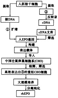 红细胞生成素(EPO)是体内促进红细胞生成的一种糖蛋白,可用于治疗肾衰性贫血等疾病。由于天然EPO来源极为有限,目前临床上使用的红细胞生成素主要来自 红细胞生成素(EPO)是体内促进红细胞生成的一种糖蛋白,可用于治疗肾衰性贫血等疾病。由于天然EPO来源极为有限,目前临床上使用的红细胞生成素主要来自