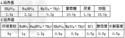 (附加题)微生物与人类关系密切。虽然有些微生物能使动植物患病,但多数微生物对人类是有益的,请回答下列有关问题:(1)下表为两种微生物的培养基配方。 (附加题)微生物与人类关系密切。虽然有些微生物能使动植物患病,但多数微生物对人类是有益的,请回答下列有关问题:(1)下表为两种微生物的培养基配方。