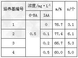 (选做题)为了探究6-BA和IAA对某菊花品种茎尖外植体再生丛芽的影响,某研究小组在MS培养基中加入6-BA和IAA,配制成四种培养基(见下表),灭 (选做题)为了探究6-BA和IAA对某菊花品种茎尖外植体再生丛芽的影响,某研究小组在MS培养基中加入6-BA和IAA,配制成四种培养基(见下表),灭
