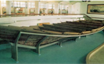 小明同学选用宋代众多图片进行研究性学习。你认为他研究的主题是清明上河图交子南宋海船南宋货郎图 小明同学选用宋代众多图片进行研究性学习。你认为他研究的主题是清明上河图交子南宋海船南宋货郎图