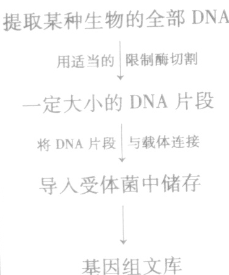 现有一长度为3000碱基对(bp)的线性DNA分子，用限制性核酸内切酶酶切后，进行凝胶电泳，使降解产物分开，用酶H单独酶切，结果如图1，用酶B单独酶
