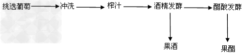 (选做题)酵母菌等微生物在日常生活中发挥着越来越大的作用。请回答下列问题:(1)酵母菌的培养最好使用下列哪种培养基__________。A.牛肉膏蛋白胨培 (选做题)酵母菌等微生物在日常生活中发挥着越来越大的作用。请回答下列问题:(1)酵母菌的培养最好使用下列哪种培养基__________。A.牛肉膏蛋白胨培