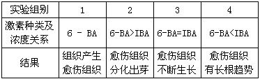 植物组织培养的培养基中加有激素。下表是培养基中两种激素在不同比例时的实验结果。请分析完成问题:(1)6-BA属于________ 植物组织培养的培养基中加有激素。下表是培养基中两种激素在不同比例时的实验结果。请分析完成问题:(1)6-BA属于________